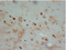 //iororwxhrkjnln5q-static.micyjz.com/cloud/liBpjKnjlkSRqippkkrniq/17554be2a02438337857eb6c5e8dad70-60-60.png