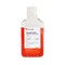 //iororwxhrkjnln5q-static.micyjz.com/cloud/ljBpjKnjlkSRqipinmpqip/RPMI-1640-medium-GlutaMAX-I-supplement-60-60.jpg