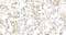 //iororwxhrkjnln5q-static.micyjz.com/cloud/ljBpjKnjlkSRqippojnmip/1598842289514149230-60-60.jpg