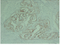 //iororwxhrkjnln5q-static.micyjz.com/cloud/lkBpjKnjlkSRqippjkmmip/4a6f87f2b19dc6f9d4b587aabe9dbdcf-60-60.png