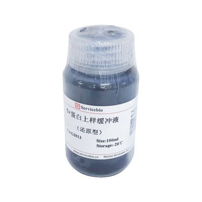 G2013-100ML 100 ml réduit 5 * tampon de chargement de protéines